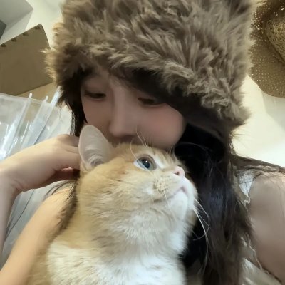 极主夫道第二季